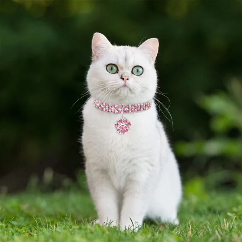Bling Rhinestone Collar
