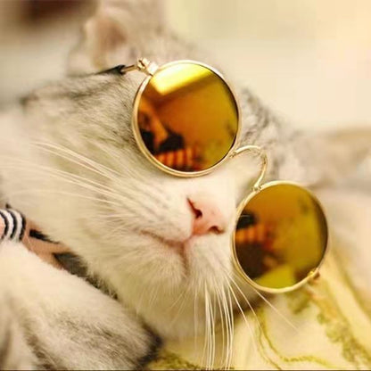 Cat Glasses Sunglasses Pet | Dog Kitten Cat Accessories | Cat Supplies