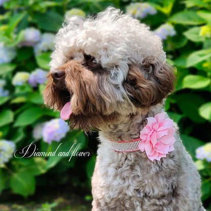 Bling Rhinestone Collar with optional flower