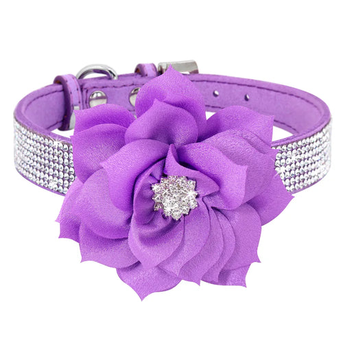 Bling Rhinestone Collar with optional flower