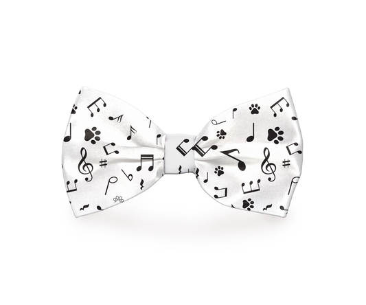 Jazzy Music Notes Dog Bow Tie