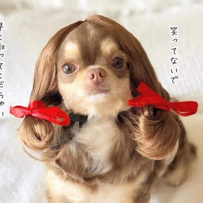 Pet Wigs Cosplay Props Dog Cat Cross-Dressing Hair Set Photography