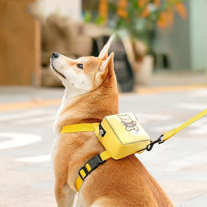 Backpack Harness with Leash Set