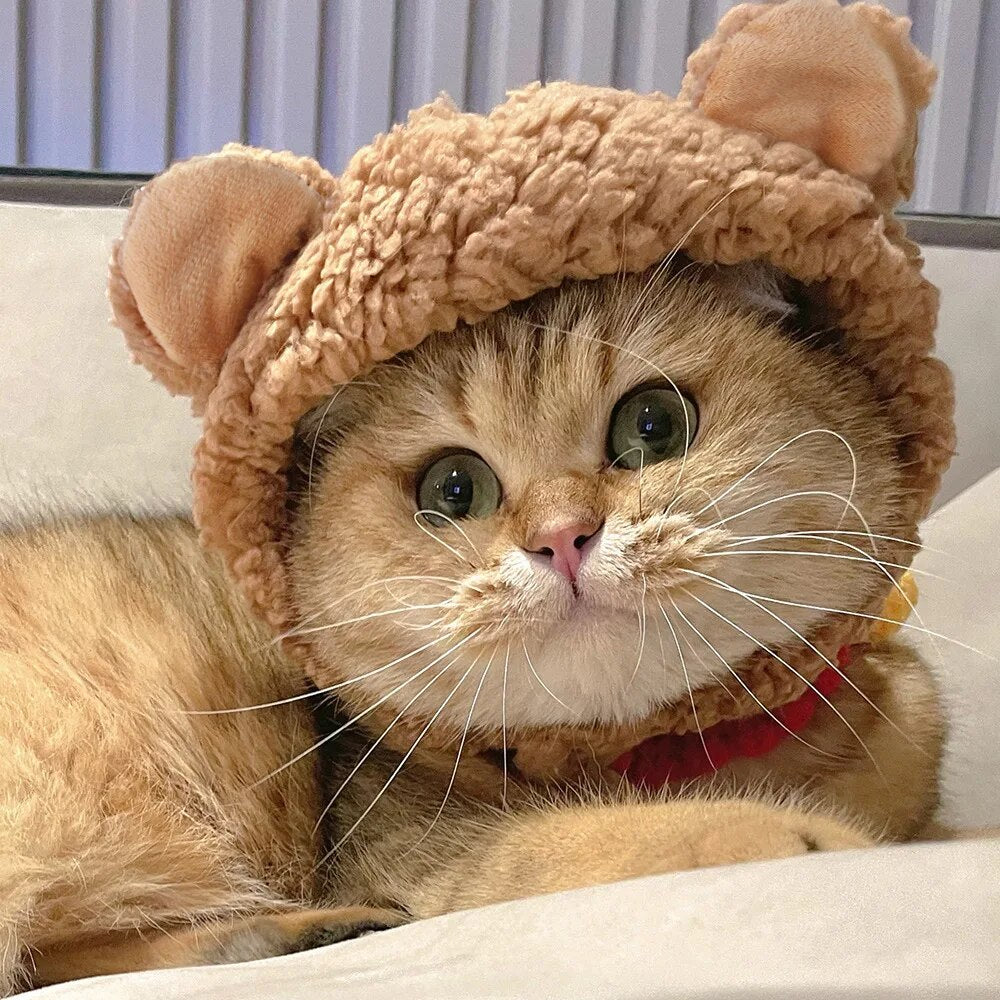 Cute Plush Bear Cat/Dog Cap Dress Up Headgear