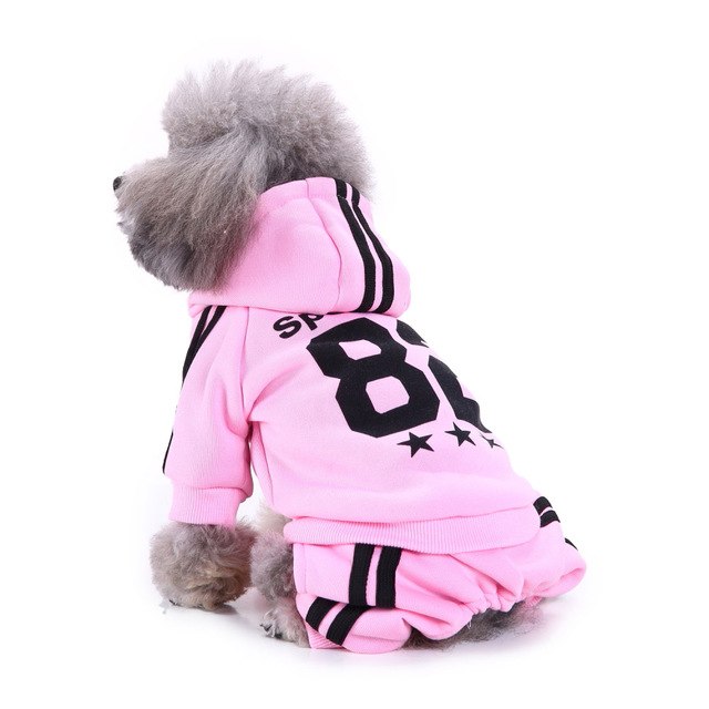 Winter Trendy Pet Hoodies Clothing For Dogs French